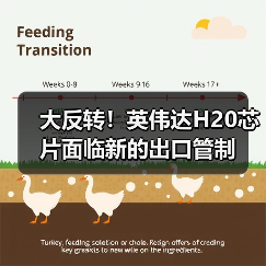 大反转！英伟达H20芯片面临新的出口管制（图3）