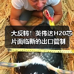 大反转！英伟达H20芯片面临新的出口管制（图4）
