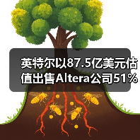 英特尔以87.5亿美元估值出售Altera公司51%股份（图4）