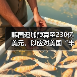韩国追加预算至230亿美元,以应对美国“半导体关税”(图3) 韩国追加预算至230亿美元,以应对美国“半导体关税”(图3)
