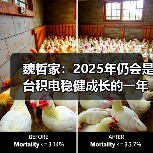 台积电2025年稳健成长，AI与HPC驱动先进制程需求激增