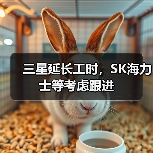 三星延长工时,SK海力士等考虑跟进(图4) 三星延长工时,SK海力士等考虑跟进(图4)