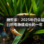 魏哲家:2025年仍会是台积电稳健成长的一年(图3) 魏哲家:2025年仍会是台积电稳健成长的一年(图3)