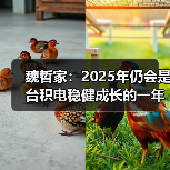 魏哲家:2025年仍会是台积电稳健成长的一年(图2) 魏哲家:2025年仍会是台积电稳健成长的一年(图2)