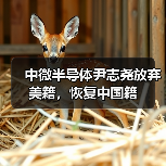 尹志尧放弃美籍回归中国 科技竞争下的中国半导体人才战略
