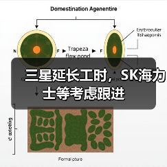 韩国半导体行业延长工时应对全球竞争