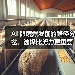 AI 眼镜爆发前的路径分岔,选择比努力更重要(图2) AI 眼镜爆发前的路径分岔,选择比努力更重要(图2)