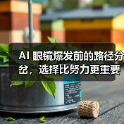 AI 眼镜爆发前的路径分岔,选择比努力更重要(图3) AI 眼镜爆发前的路径分岔,选择比努力更重要(图3)