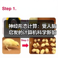 神经形态计算:受人脑启发的计算机科学新前沿(图2) 神经形态计算:受人脑启发的计算机科学新前沿(图2)