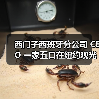 西门子西班牙分公司 CEO 一家五口在纽约观光直升机坠毁事故中遇难(图4) 西门子西班牙分公司 CEO 一家五口在纽约观光直升机坠毁事故中遇难(图4)