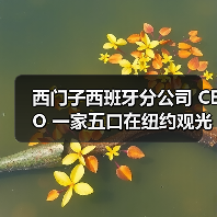 西门子西班牙分公司 CEO 一家五口在纽约观光直升机坠毁事故