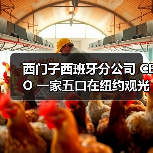 西门子西班牙分公司 CEO 一家五口在纽约观光直升机坠毁事故中遇难(图3) 西门子西班牙分公司 CEO 一家五口在纽约观光直升机坠毁事故中遇难(图3)