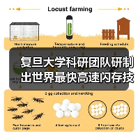 复旦大学科研团队研制出世界最快高速闪存技术，每秒25亿次操作