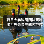 复旦大学科研团队研制出世界最快高速闪存技术，每秒25亿次操作！（图3）