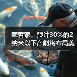 魏哲家：预计30%的2纳米以下产能将布局美国亚利桑那州