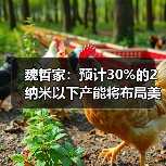 魏哲家：预计30%的2纳米以下产能将布局美国亚利桑那州（图4）