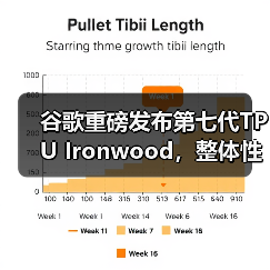 谷歌重磅发布第七代TPU Ironwood,整体性能接近英伟达B200(图2) 谷歌重磅发布第七代TPU Ironwood,整体性能接近英伟达B200(图2)