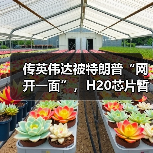传英伟达被特朗普“网开一面”，H20芯片暂获出口“解禁”（图1）
