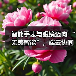 智能手表与眼镜迈向 “无感智能”,端云协同破解 “不可能三角” 难题(图3) 智能手表与眼镜迈向 “无感智能”,端云协同破解 “不可能三角” 难题(图3)