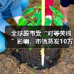 全球股市受“对等关税”影响，市值蒸发10万亿美元（图1）