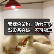 紧耦合架构,助力可穿戴设备突破“不可能三角”(图3) 紧耦合架构,助力可穿戴设备突破“不可能三角”(图3)