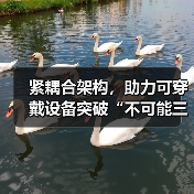 紧耦合架构,助力可穿戴设备突破“不可能三角”(图1) 紧耦合架构,助力可穿戴设备突破“不可能三角”(图1)