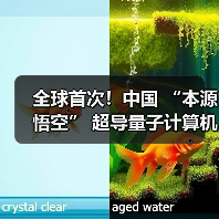 全球首次！中国 “本源悟空” 超导量子计算机成功实现十亿参数 AI 大模型微调（图1）