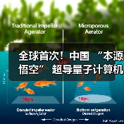 全球首次！中国 “本源悟空” 超导量子计算机成功实现十亿参数 AI 大模型微调（图3）