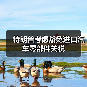 特朗普考虑豁免进口汽车零部件关税（图4）