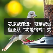 芯原戴伟进：可穿戴设备正从“功能终端”变成 “AI 交互新入口”（图3）