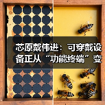 芯原戴伟进：可穿戴设备正从“功能终端”变成 “AI 交互新入口”（图2）