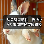 从关键零组件，看 AI/AR 眼镜市场突围路径（图1）