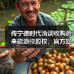 传宁德时代洽谈收购蔚来能源控股权，官方回应（图3）