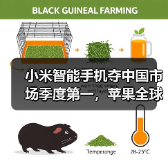 小米智能手机夺中国市场季度第一，苹果全球季增10%难阻滑铁卢（图2）