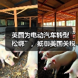 英国为电动汽车转型“松绑”，抵御美国关税影响（图2）