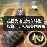英国为电动汽车转型“松绑”，抵御美国关税影响（图3）