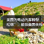 英国为电动汽车转型“松绑”，抵御美国关税影响（图4）
