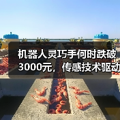 机器人灵巧手何时跌破3000元，传感技术驱动老龄化与产业升级？（图3）