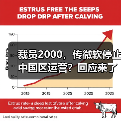 裁员2000，传微软停止中国区运营？回应来了（图4）