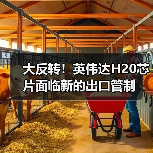 大反转!英伟达H20芯片面临新的出口管制(图2) 大反转!英伟达H20芯片面临新的出口管制(图2)