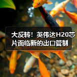 大反转!英伟达H20芯片面临新的出口管制(图4) 大反转!英伟达H20芯片面临新的出口管制(图4)