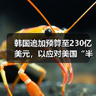 韩国追加预算至230亿美元，以应对美国“半导体关税”（图4）