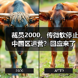 裁员2000，传微软停止中国区运营？回应来了（图2）