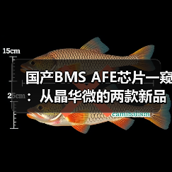 国产BMS AFE芯片一窥:从晶华微的两款新品说起(图3) 国产BMS AFE芯片一窥:从晶华微的两款新品说起(图3)