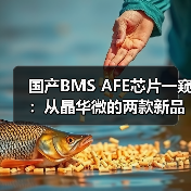 国产BMS AFE芯片一窥:从晶华微的两款新品说起(图4) 国产BMS AFE芯片一窥:从晶华微的两款新品说起(图4)