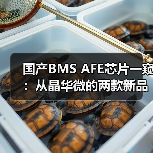 国产BMS AFE芯片一窥:从晶华微的两款新品说起(图2) 国产BMS AFE芯片一窥:从晶华微的两款新品说起(图2)
