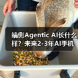 端侧Agentic AI长什么样?未来2-3年AI手机展望...(图2) 端侧Agentic AI长什么样?未来2-3年AI手机展望...(图2)