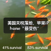 美国关税落地,苹果iPhone“最受伤”(图4) 美国关税落地,苹果iPhone“最受伤”(图4)