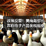 政策反复!美商务部长声称电子产品关税豁免是“暂时性的”(图3) 政策反复!美商务部长声称电子产品关税豁免是“暂时性的”(图3)