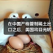 在中国严格管制稀土出口之后，美国将目光转向“海底资源”（图1）